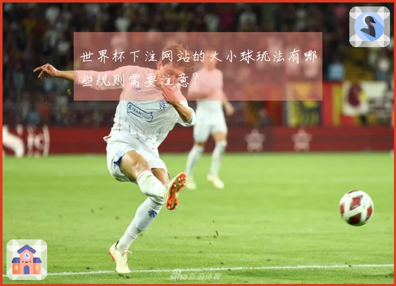 世界杯下注网站的大小球玩法有哪些规则需要注意？