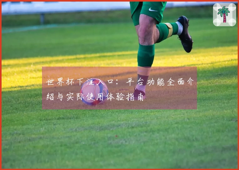 世界杯下注入口：平台功能全面介绍与实际使用体验指南