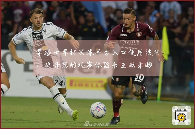 掌握世界杯买球平台入口使用技巧，提升您的观赛体验和互动乐趣