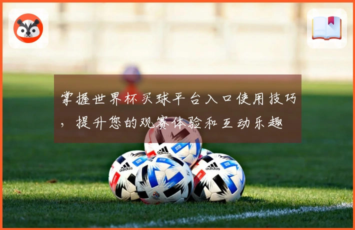 掌握世界杯买球平台入口使用技巧，提升您的观赛体验和互动乐趣