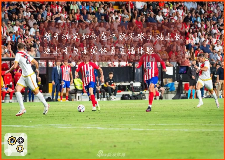 新手玩家如何在中欧买球主站上快速上手与享受体育直播体验