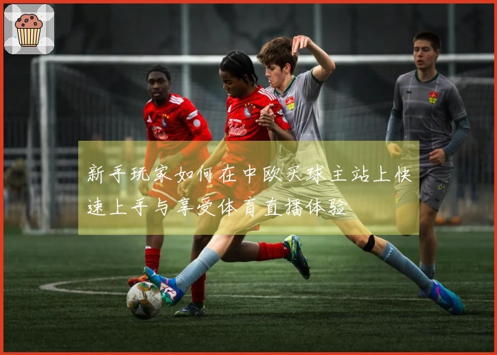 新手玩家如何在中欧买球主站上快速上手与享受体育直播体验