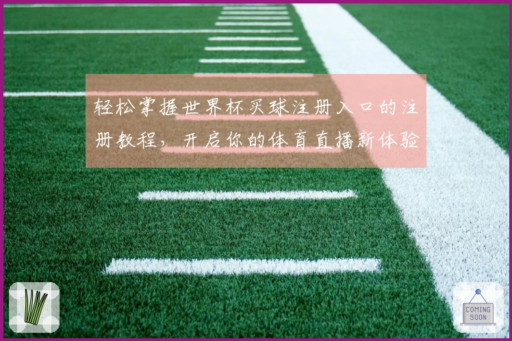 轻松掌握世界杯买球注册入口的注册教程，开启你的体育直播新体验