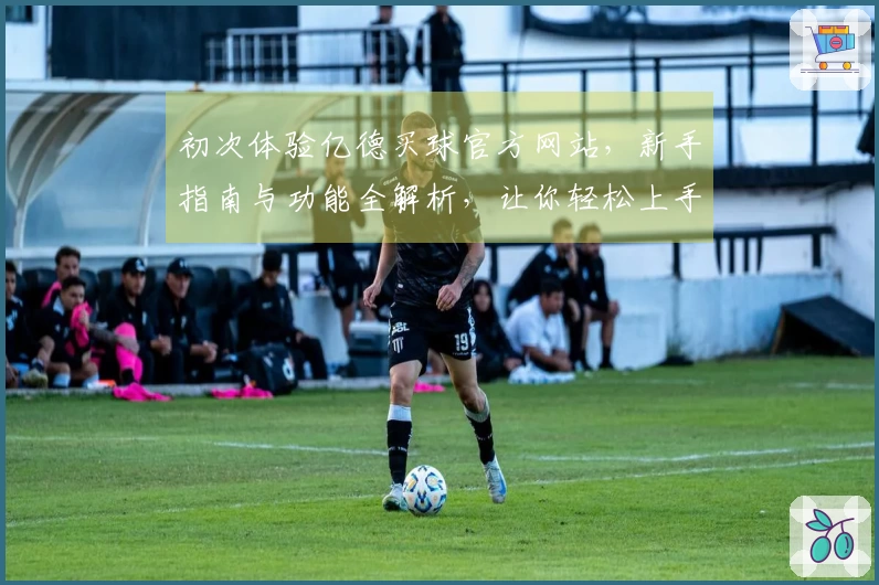 初次体验亿德买球官方网站，新手指南与功能全解析，让你轻松上手