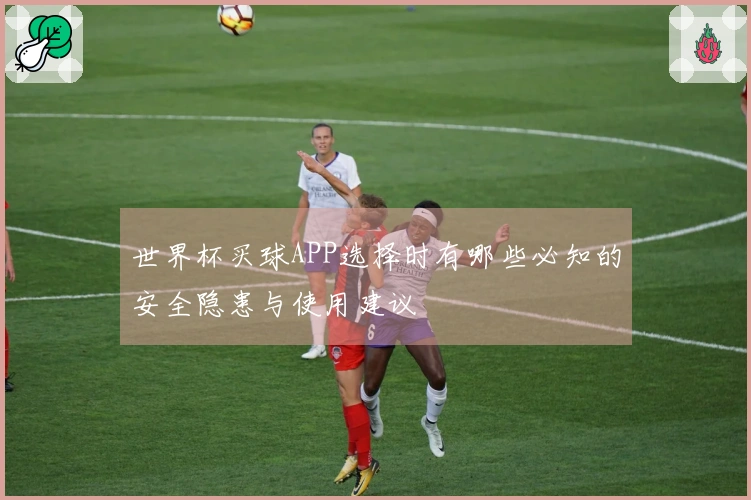 世界杯买球APP选择时有哪些必知的安全隐患与使用建议