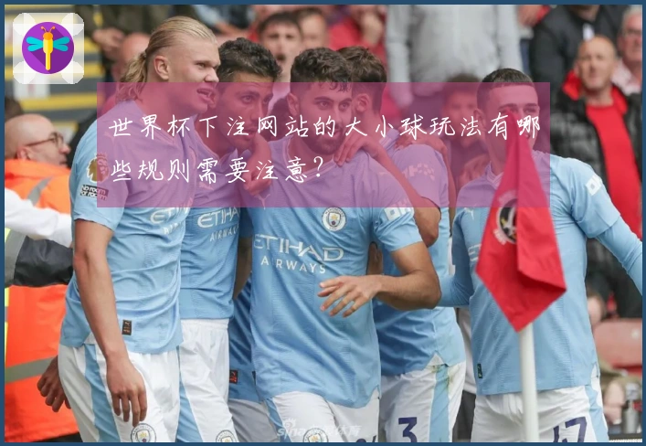 世界杯下注网站的大小球玩法有哪些规则需要注意？